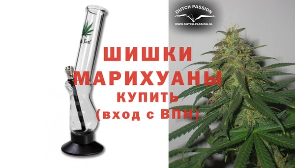 прущие грибы Лиски