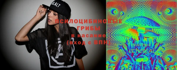 spice Липки