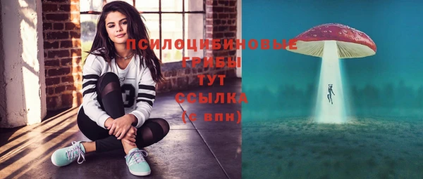 прущие грибы Лиски